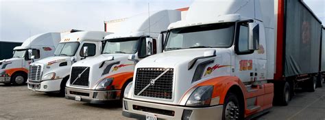 carrier  local freight carriers