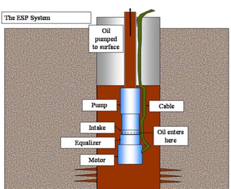 submersible pump    works engineers gallery