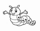 Gusano Verme Orugas Colorir Worm Cuc Gusanos Animales Infantile Dibuix Nourrisson Oruga Insectos Stampare Acolore Desenhos Dibuixos Figuras Herman Utente sketch template