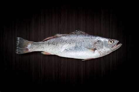 What Is Corvina And How Is It Used