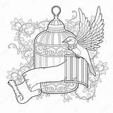 Coloring Bird Cage Elegant Stock Illustration Pages Vector Kchungtw Getcolorings Getdrawings Color Depositphotos sketch template