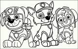 Coloring Paw Pages Comments sketch template