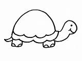 Turtle Coloring Pages Turtles Simple sketch template