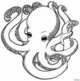 Octopus Simple Drawing Cartoon Style Getdrawings sketch template