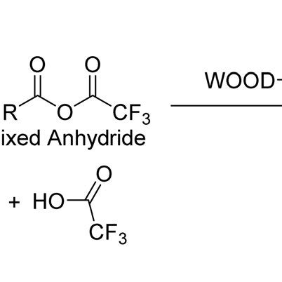 chemical reaction  mixed anhydride formation  esterification  wood  scientific