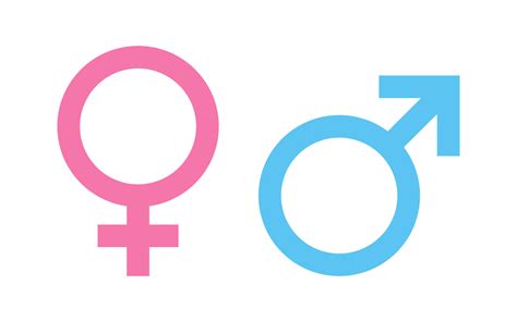 male  female gender symbol icon illustration  vector art