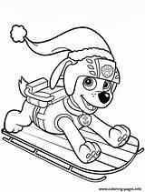 Patrol Zuma Paw Coloring Sled Pages Printable sketch template