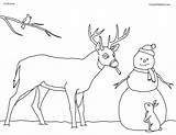 Coloring Whitetail Deer Pages Buck Book Christmas Kids Tailed Getcolorings Snowman Color sketch template