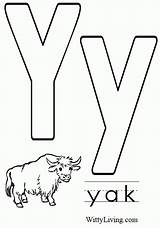 Yak Alphabet Getcolorings sketch template