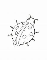 Coccinella Biedronka Coccinelle Joaninha Ladybird Ladybug Kolorowanka Lotu Przygotowania Mamydzieci Printables Printmania sketch template