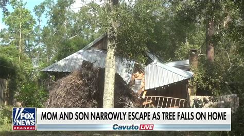 louisiana mom tells how she and her son escaped when a tree fell on