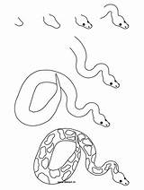Snake Drawing Python Draw Rainforest Simple Snakes Step Coloring Animals Easy Drawings Ball Animal Forest Outline Rain Learn Cartoon Jungle sketch template