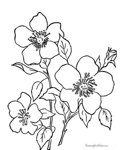 flower colouring pages  printable  printable templates