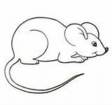 Mouse Coloring Pages Clipart Color Mice Printable Cute Colouring House Para Paint Rato Kids Desenho Drawing Supercoloring Crafts Colorir Google sketch template