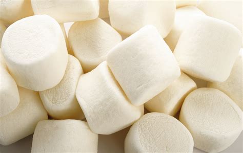 marshmallows teach    control vox