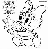 Duck Daisy Coloring Pages Baby Sheet sketch template