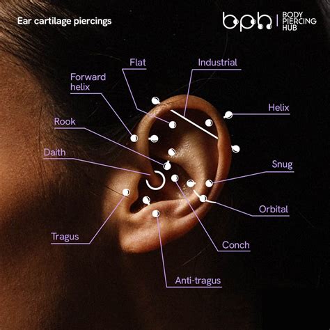 Cartilage Piercings Types Of Cartilage Piercings Body Piercing Hub