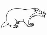 Badger Coloring Printable Pages Outline Kids sketch template