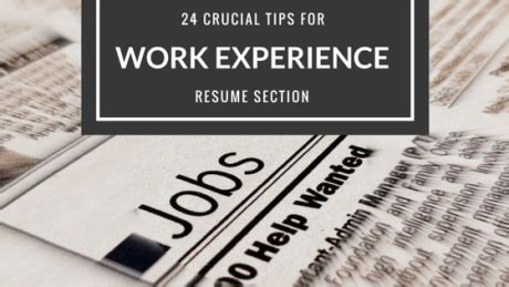 crucial tips  work experience resume section epic cv