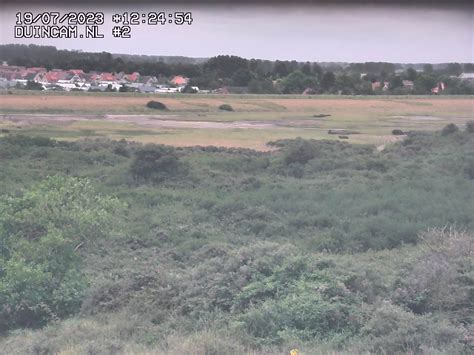 webcam nieuwvliet bad beach panorama