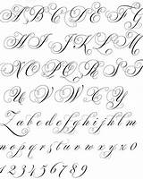 Calligraphy Baroque Copperplate Flourish Cursive Flourished Buchstaben Kalligraphie Verzierte Flourishing Schriftzug Schriftarten Artigo Handwriting sketch template