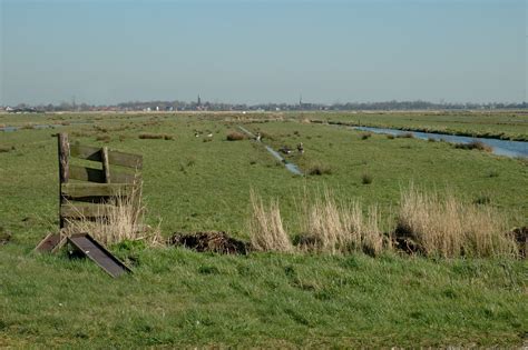 landsmeer