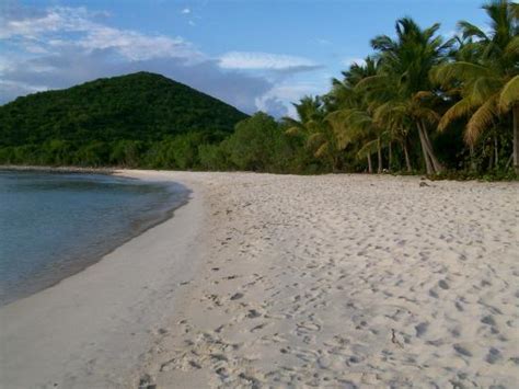 Smuggler S Cove Tortola All You Need To Know Before You Go With