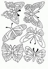 Coloring Butterfly Pages Schmetterling Coloriage Butterflies Papillon Malvorlagen Zum Patterns Ausmalen Coloringpages1001 Vorlage Malvorlage Vorlagen Gemerkt Von Schmetterlinge Ausdrucken Symétrie sketch template