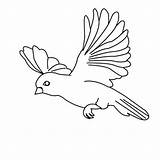 Bird Burung Mewarnai Anak Lucu Belajar Colorluna sketch template