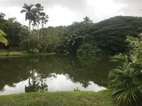 smith family garden luau lihue