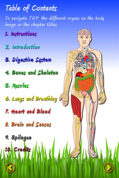 fun science  human body review educationalappstore