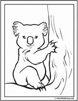 Koala Coloring Pages Baby Cute Koalas Colorwithfuzzy sketch template