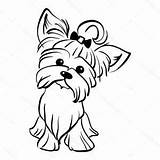 Yorkshire Terrier Yorkie Sentado Yorkies Puppy Alamy Vectorial Gracioso sketch template