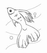 Fish Coloring Pages Koi Printable sketch template