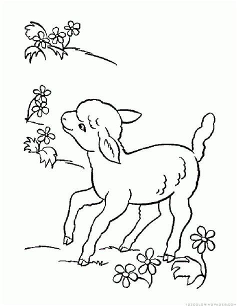 lambs coloring pages part