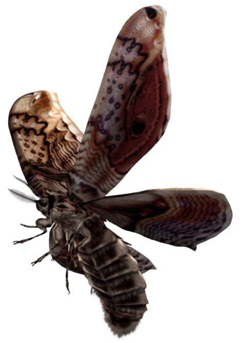 Giant Moth Resident Evil Wiki Fandom Powered By Wikia