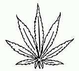 Leaf Coloring Pot Marijuana Popular sketch template