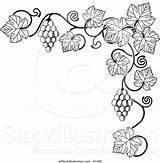 Grape Vines Drawing Vine Illustration Vector Getdrawings sketch template