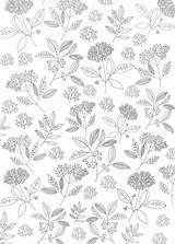Pattern Flower Illustration sketch template