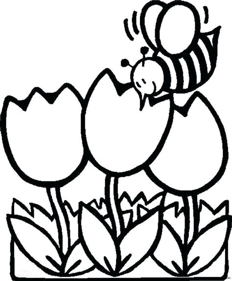 tulip flower coloring pages  getdrawings