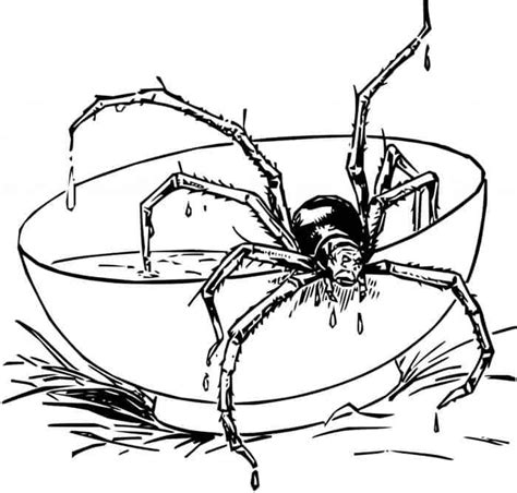 giant spider coloring pages eating   spider coloring page kids