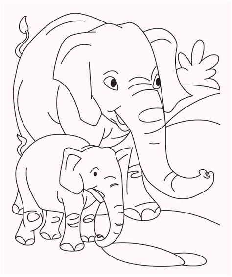 elephatn  baby coloring pages