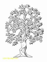 Coloring Tree Pages Oak Peach Drawing Life Inchworm Flower Adults Color Printable Colouring Getcolorings Trees Complicated Adult Family Print Getdrawings sketch template