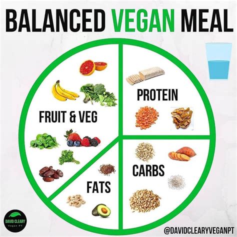 vegan diet nutrition guide