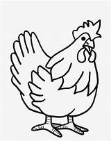 Drawing Colour Chicken Coloring Pages Cute Hens Animal Farm Wallpaper Beautiful Colouring Printable Choose Board Sheets sketch template