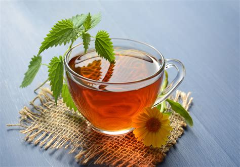 herbal tea  stock photo public domain pictures
