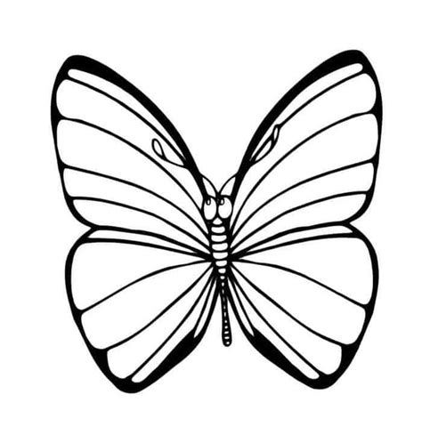monarch butterfly coloring pages cartoon butterfly animal coloring