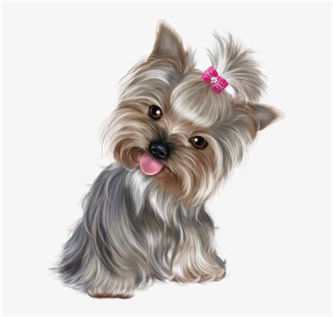 cute puppy png clip art yorkie clipart  transparent png