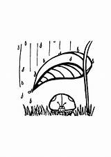 Shelter Coloring Bug Rain Takes Lady Kleurplaat Edupics sketch template