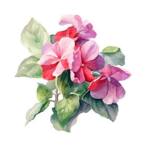 premium vector watercolor floral